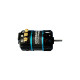 Corsatec Stock motor 1/10 10.5 T - CORSATEC - CT40020