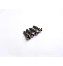 Vis titane BHC M2x8 (4) - HIRO SEIKO - 48016