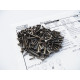 Kit de visserie titane hexagonale MBX8 (180pcs) - HIRO SEIKO - 48304