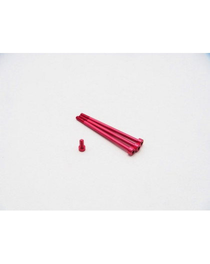  Xerun V10 G2 Aluminum Screw Set [Red] - HIRO SEIKO - 48337