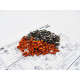  T4'19 Titan/Alum Hex Socket Screw Set - HIRO SEIKO - 48396