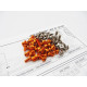 Kit visserie titane/alu hexagonale X1'19 Orange - HIRO SEIKO - 48412
