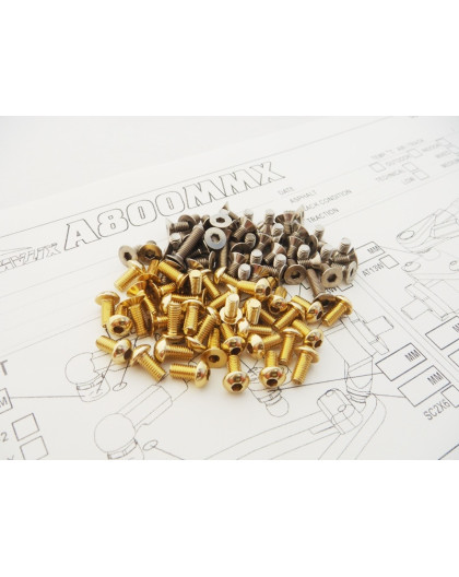  A800mmx Evo Titan/Alloy Hex Screw Set [Gold] - HIRO SEIKO - 48593
