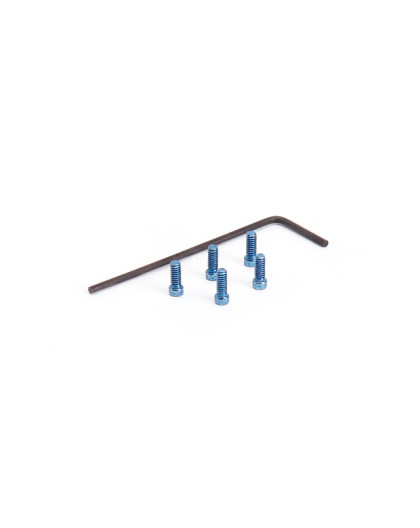 Vis CHC M2x5 Bleu (5pcs) - HIRO SEIKO - 69205