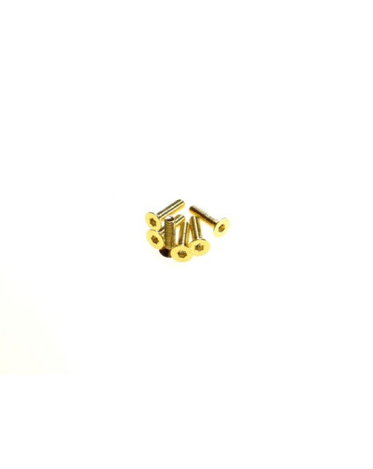 Vis FHC M3x14 24K_Or (6pcs) - HIRO SEIKO - 69580
