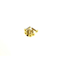  Hex Flat Screw M3X16 [24K_Gold] - HIRO SEIKO - 69581