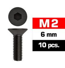 M2X6mm Flat Head Screws (10 Pcs) - ULTIMATE - UR161206