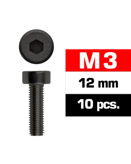 Vis CHC M3x12mm (x10) - ULTIMATE - UR163312