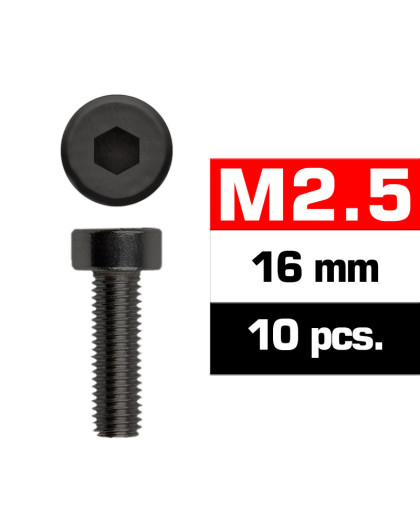 M2,5X16mm Cap Head Screws (10 Pcs) - ULTIMATE - UR1632516