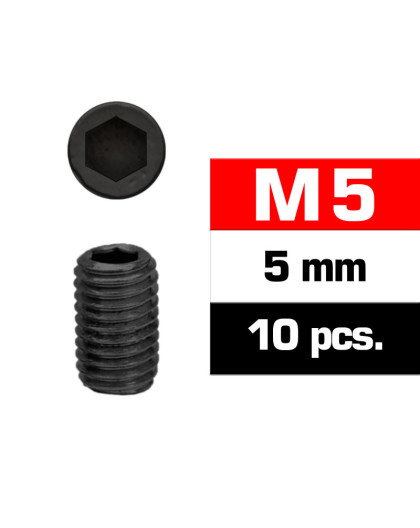 M5X5mm Set Screws (10 Pcs) - ULTIMATE - UR164505