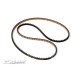 High-Performance Drive Belt Front 3 X 513 mm - XRAY - 305432