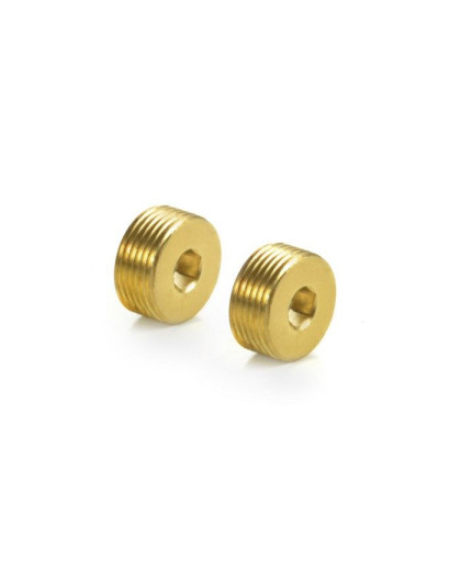 BRASS ADJUSTING NUT M15x1 (2) - 357253 - XRAY
