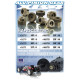 Pignon alu 24T / 48 - XRAY - 365724