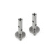 X12 Kingpin 4mm With Holes - 1.5° 1 Dot (2) - XRAY - 372262