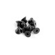 HEX SCREW SFH M4x6 (10) - 903406 - XRAY