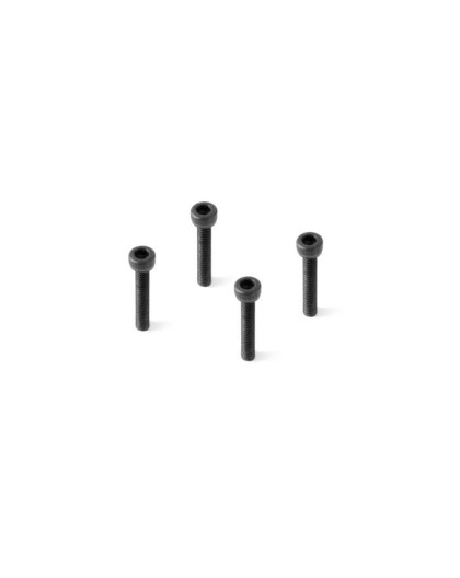 HEX SCREW SOCKET HEAD CAP M2.5x16 (4) - 699202 - FX