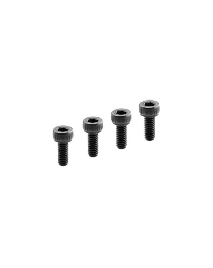 Vis culasse M2.5x6 (4) - FX - 699200