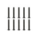 TEAM CORALLY - STEEL SCREWS M3 X 20MM - HEX BUTTON HEAD - 10 - C-3010