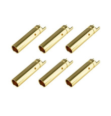 Prise femelle 4.0mm - 6 pcs - CORALLY - C-50162