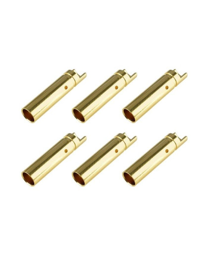 Prise femelle 4.0mm - 6 pcs - CORALLY - C-50162