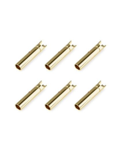 TEAM CORALLY - BULLIT CONNECTO R 2.0MM - FEMALE - GOLD PLATED - C-501