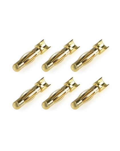 Prise male 4.0mm Spring Type - 6 pcs - CORALLY - C-50172