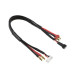 Câble 4mmGold-Tplug + 6SXH-2SXH - CORALLY - C-50281