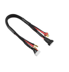 Câble 4mmGold-Tplug + 6SXH-6SXH - CORALLY - C-50284