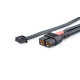Câble de charge 35cm 2S XH XT60/PK4-5 - NOSRAM - 999221
