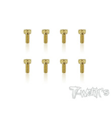 Vis Acier Traitées GOLD CHC 2.5x6mm (8) - T-WORKS - GSS-2506H