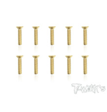 Screws Gold Fhc 3X14mm (10) - T-WORKS - GSS-314C