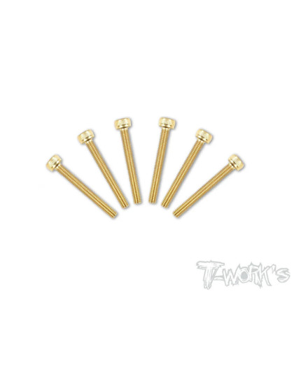 Vis Acier Traitées GOLD CHC 3x22mm (6) - T-WORKS - GSS-322H