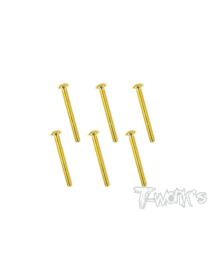 Vis Acier Traitées GOLD BHC 3x24mm (6) - T-WORKS - GSS-324B