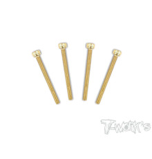 Vis Acier Traitées GOLD CHC 3x35mm (4) - T-WORKS - GSS-335H