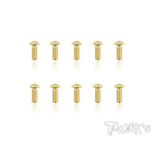Vis Acier Traitées GOLD BHC 4x8mm (10) - T-WORKS - GSS-408B