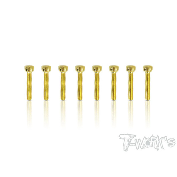 Vis Acier Traitées GOLD CHC  3x16mm (8) - T-WORKS - GSS-316H